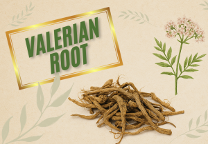 Unlocking the Power of Valerian Root: Properties & 3 Easy Ways to Use It