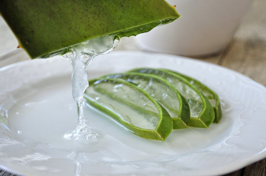 3 Uses for Aloe Vera