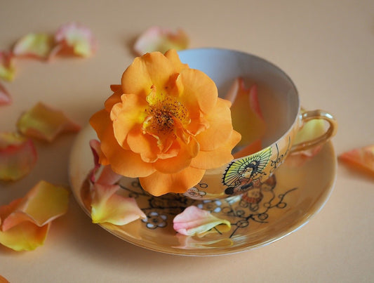 Great uses for Roses